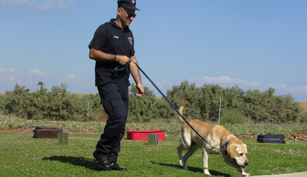 Agent et chien