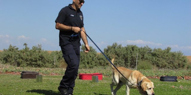 Agent et chien