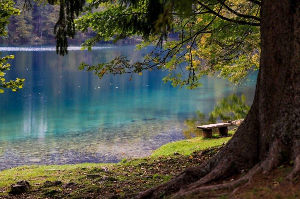Le Parc du Mercantour: une merveille de la nature