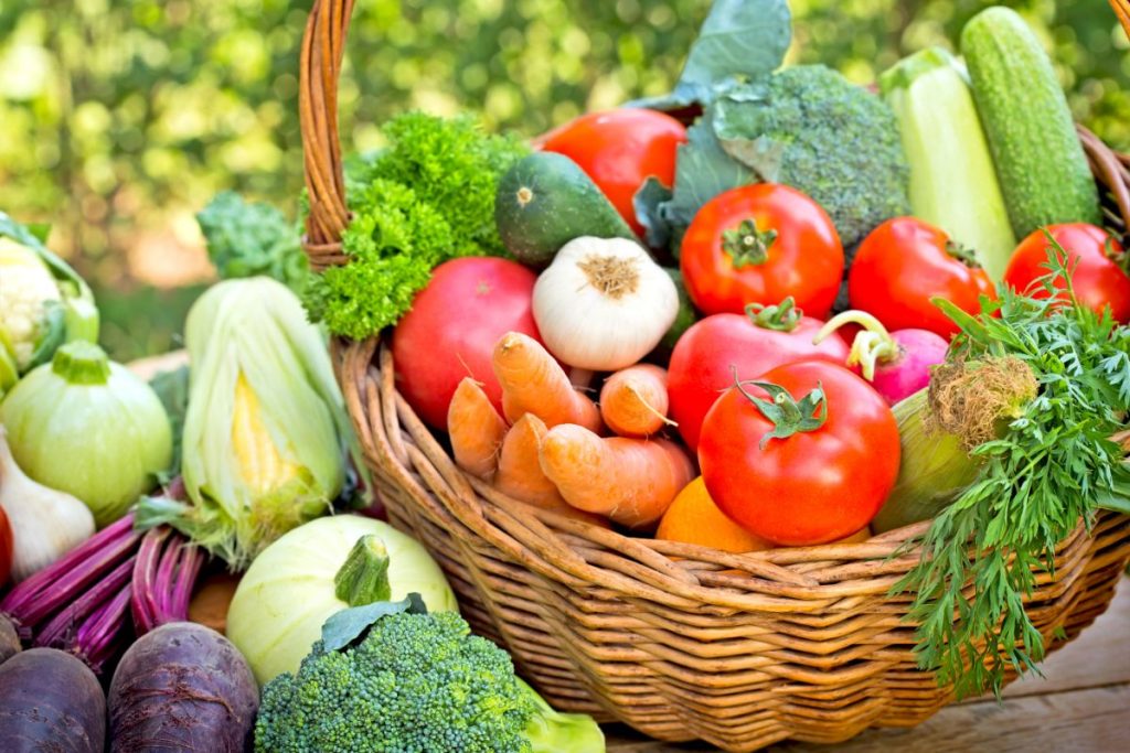 Les légumes de saison à Hyères