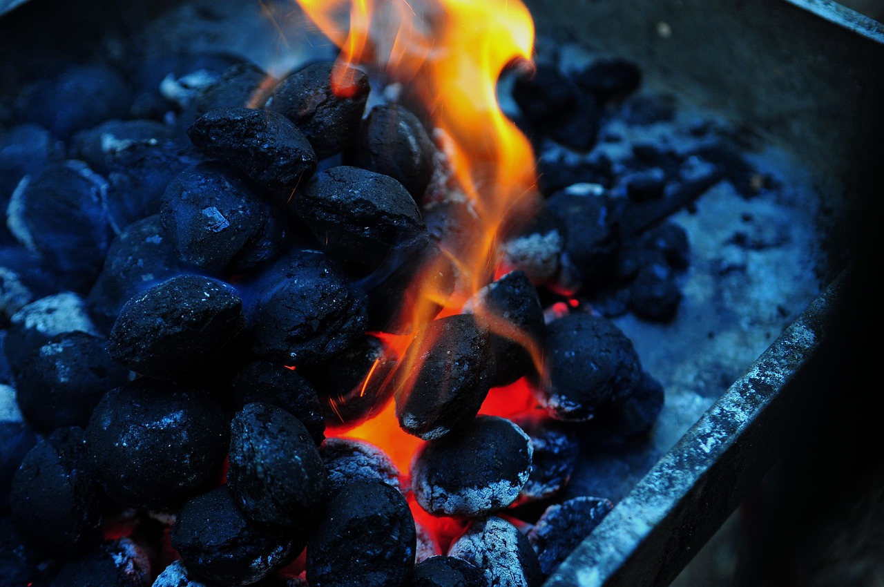 découvrez le plaisir authentique du barbecue au charbon de bois pour des grillades savoureuses et conviviales en plein air.