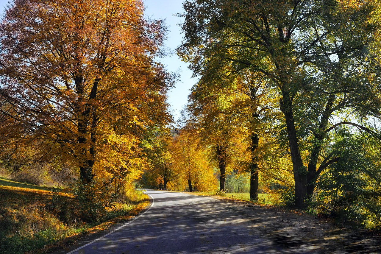 découvrez le bitume coloré, une solution esthétique et durable pour vos revêtements routiers et aménagements extérieurs.